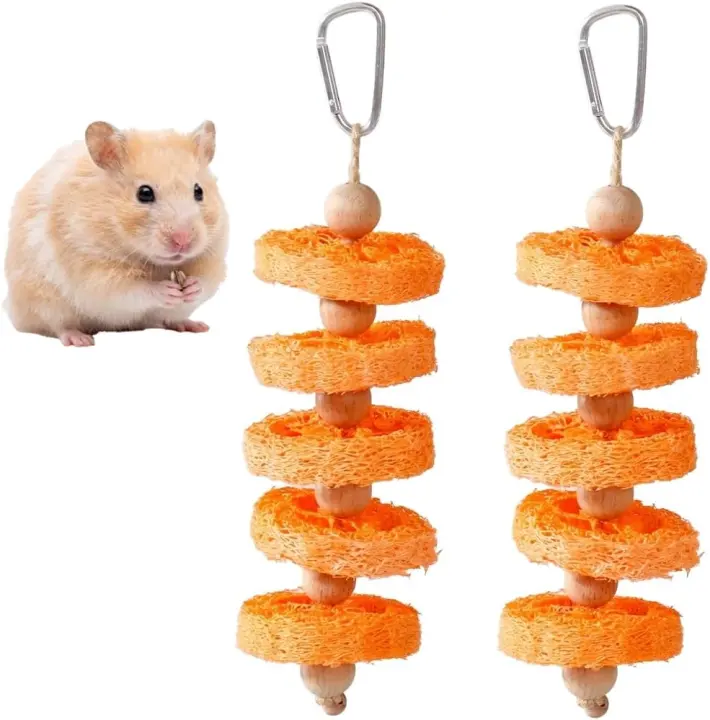 Natural Loofah Rabbit Chew Toys — 15 Fruit‑Infused Hanging Chews