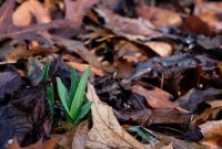 Not Ready for Spring? Signs It’s Still Too Early