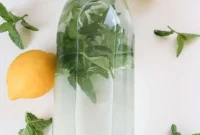 Mojito Detox Water Recipe: Mint and Lime Infused Drink