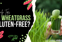 Is Wheatgrass Gluten-Free? What the Research Shows