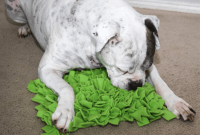 DIY Snuffle Mat for Dogs and Cats