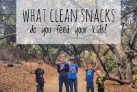 Clean Snack Ideas Kids Will Love
