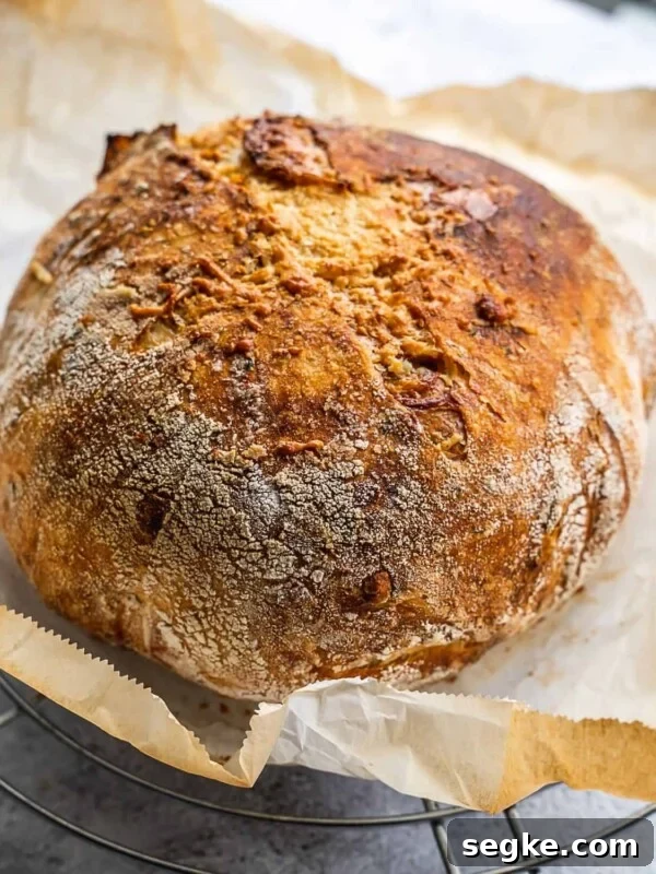 How to Make No-Knead White Bread at Home 10 freshly baked load of bread on parchment paper.