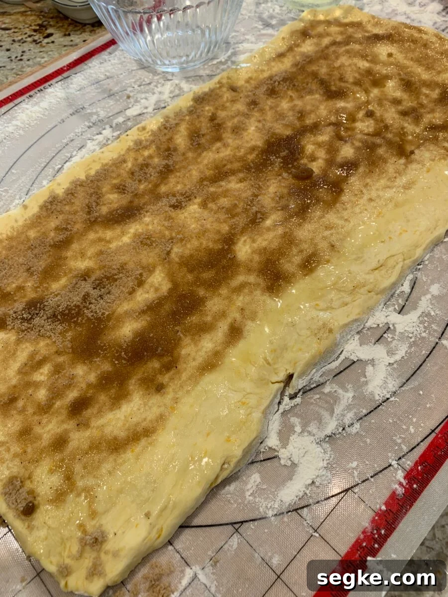 Cinnamon filling spread out over sweet roll dough.