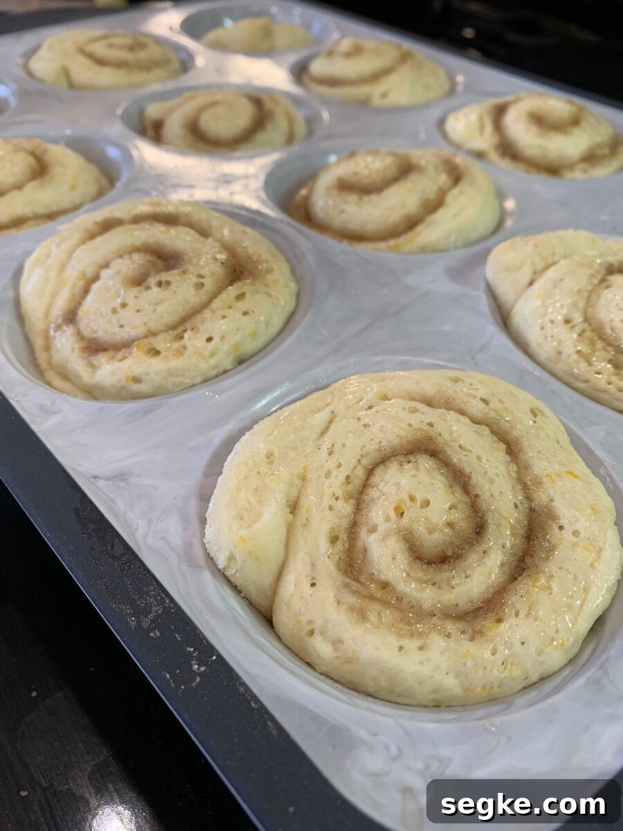 Sweet rolls in the pan, after rising.