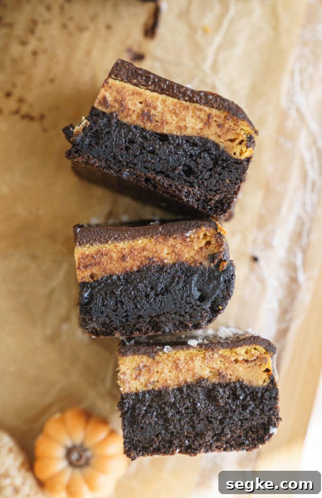 Pumpkin cheesecake brownies close-up