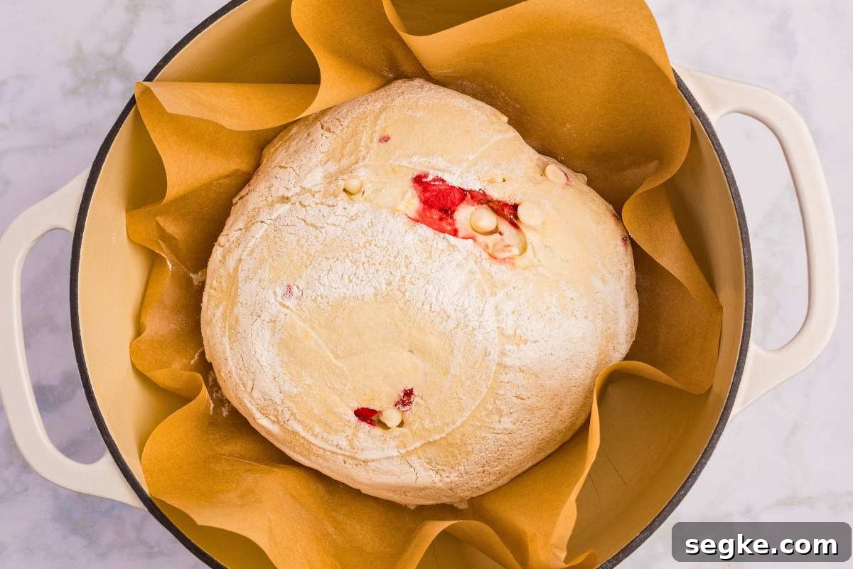 Homemade Strawberry Sourdough Bread Recipe 10 scored dough in parchment paper in Dutch oven.