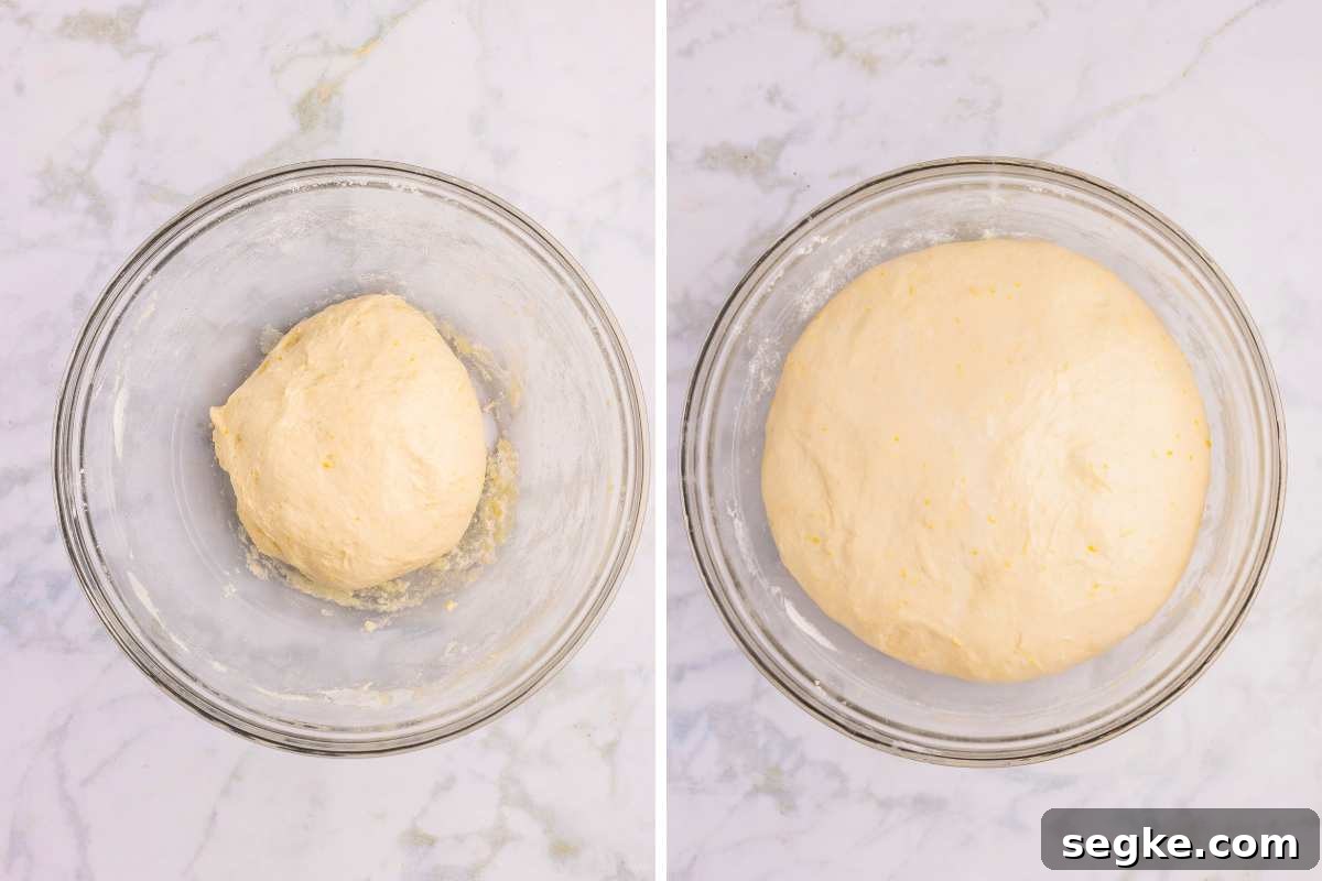 Homemade Strawberry Sourdough Bread Recipe 6 dough ball in bowl doubled in size.