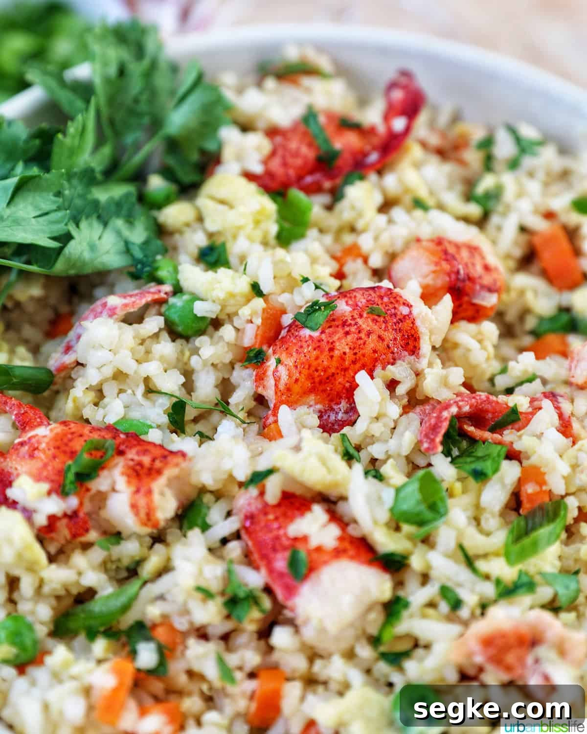 Garlic Butter Lobster Fried Rice 11 bowl of lobster fried rice.