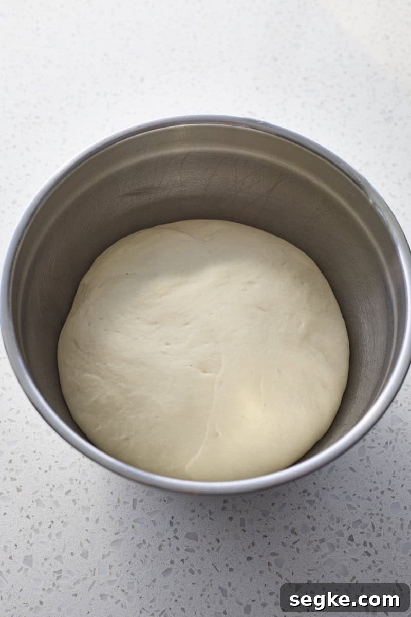 Dough in the bowl after rising.