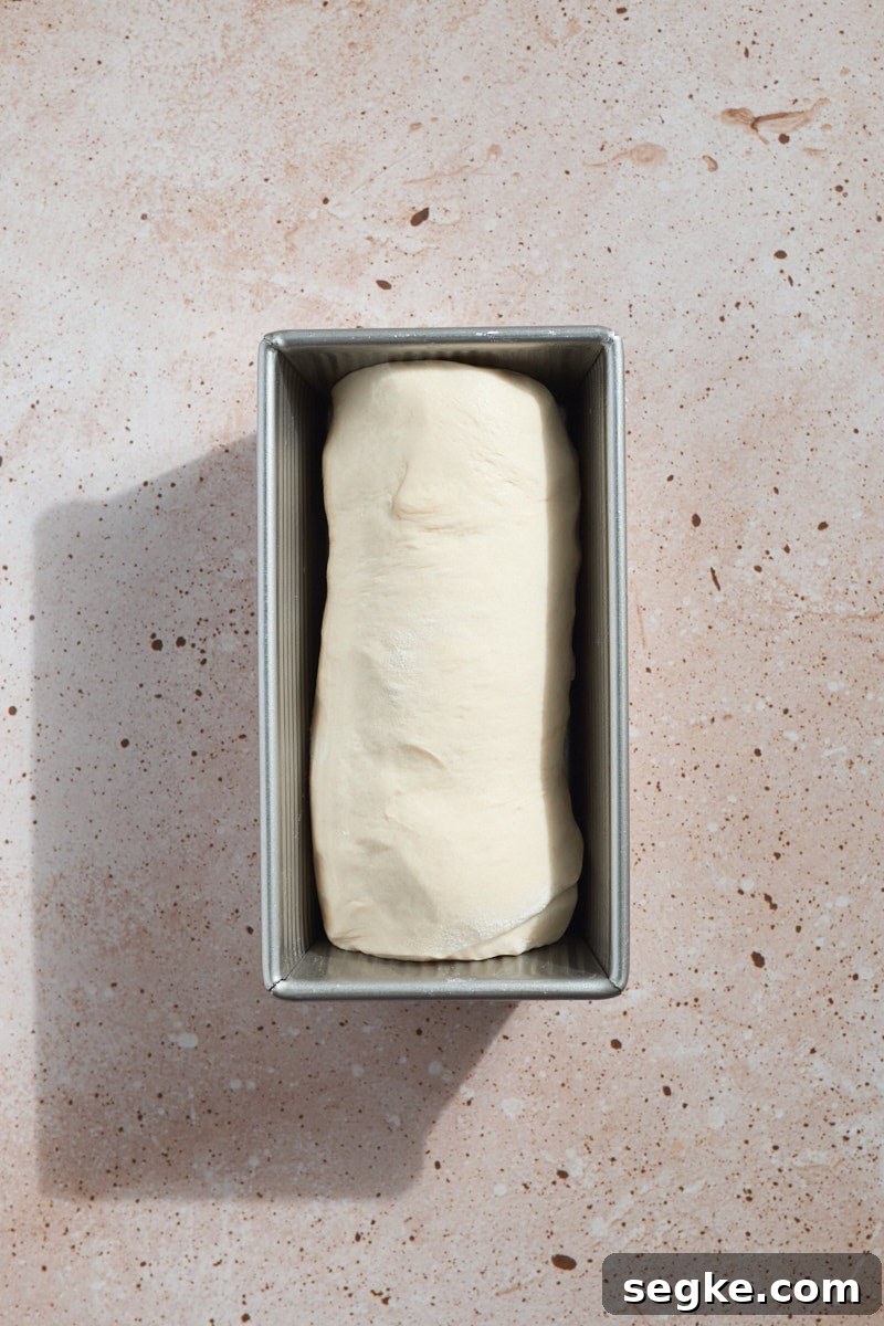Dough placed in the pan to rise.