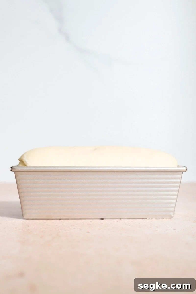 Dough risen an inch above the edge of the pan.
