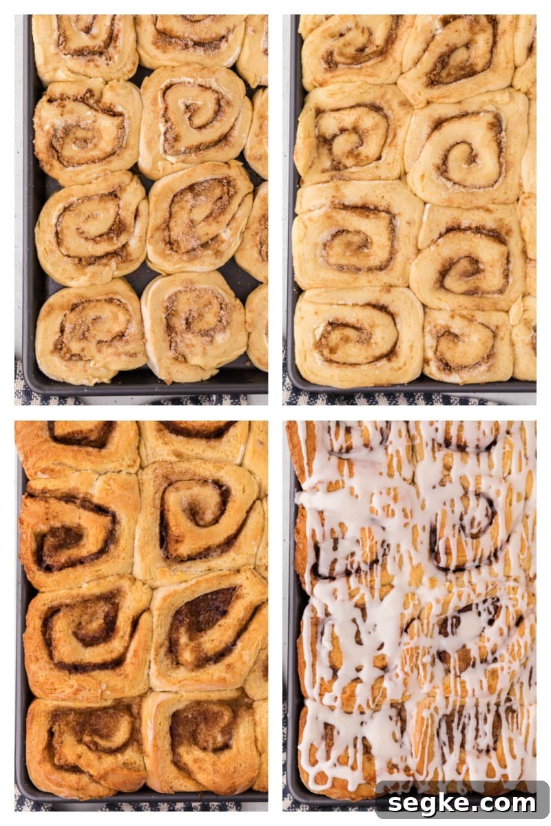 Baked cinnamon rolls four photos showing cinnamon rolls rising and then baked and iced
