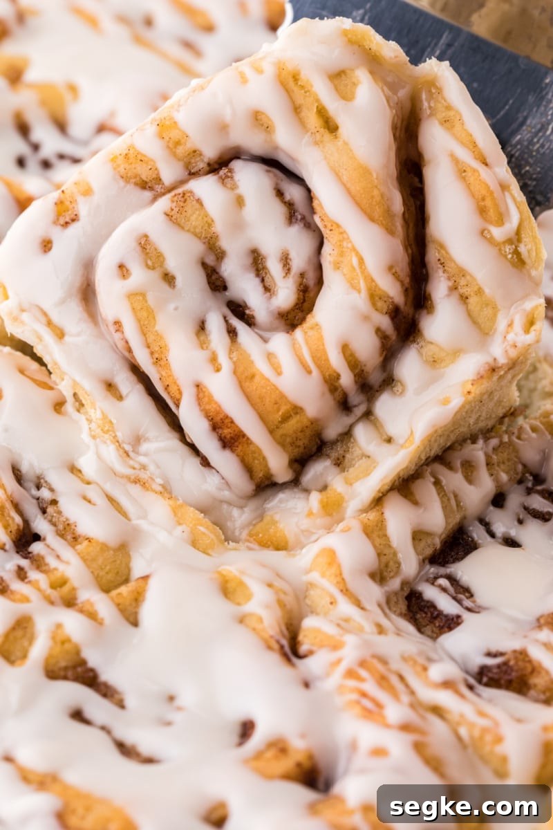 Glazed cinnamon roll cinnamon roll