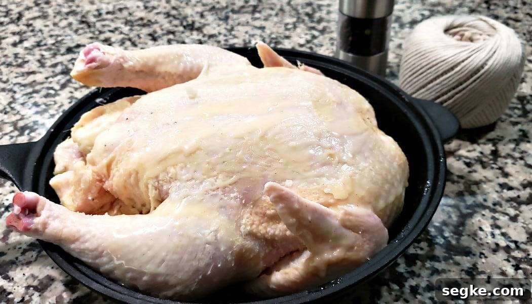 melted butter rubbed all over a whole chicken in a cast iron skillet.