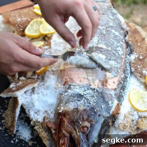 Salt-Crusted Salmon Recipe: Oven-Baked and Tender 9 Salt Baked Salmon Recipe