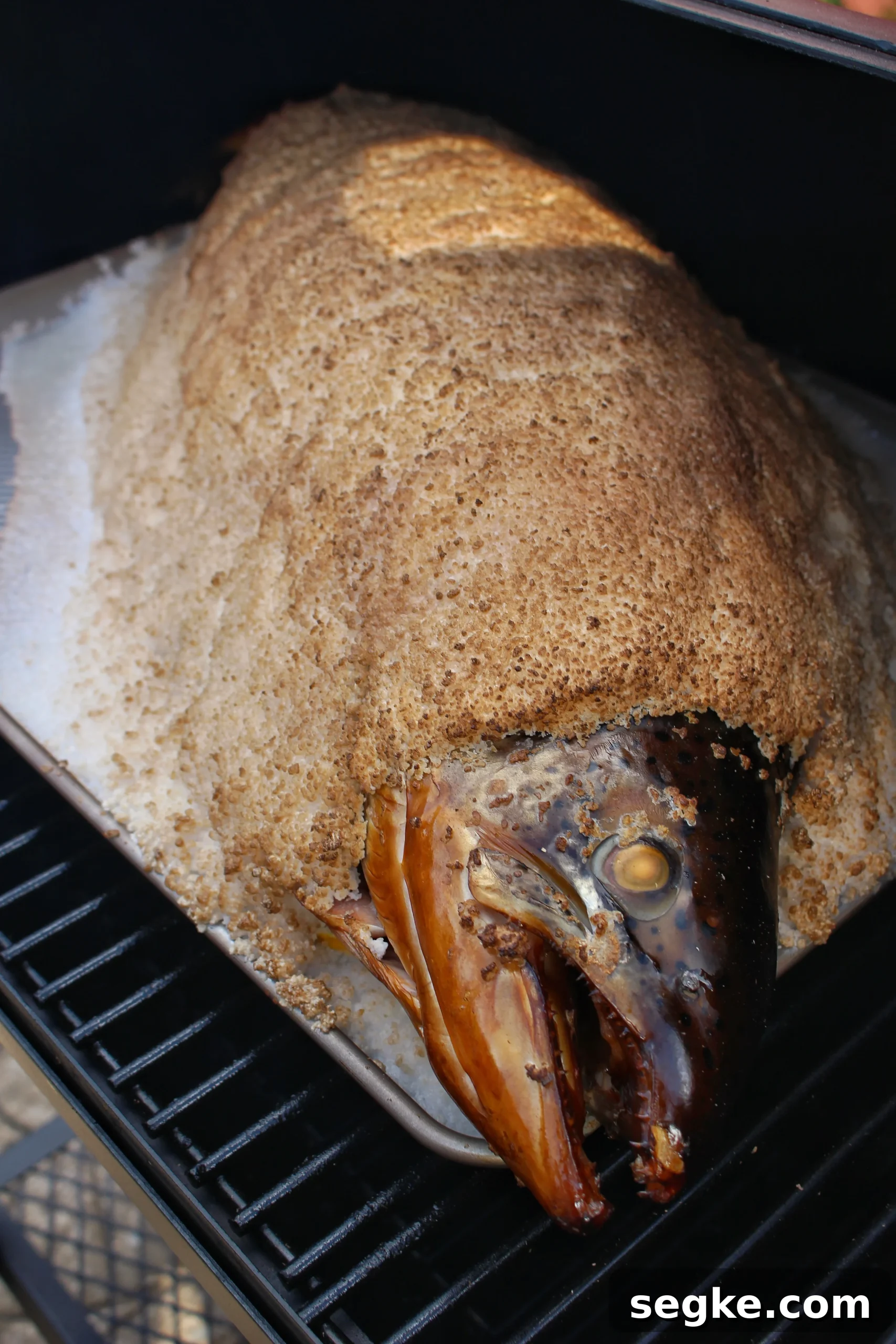 Salt-Crusted Salmon Recipe: Oven-Baked and Tender 3 salt baked salmon smoking on the grill.