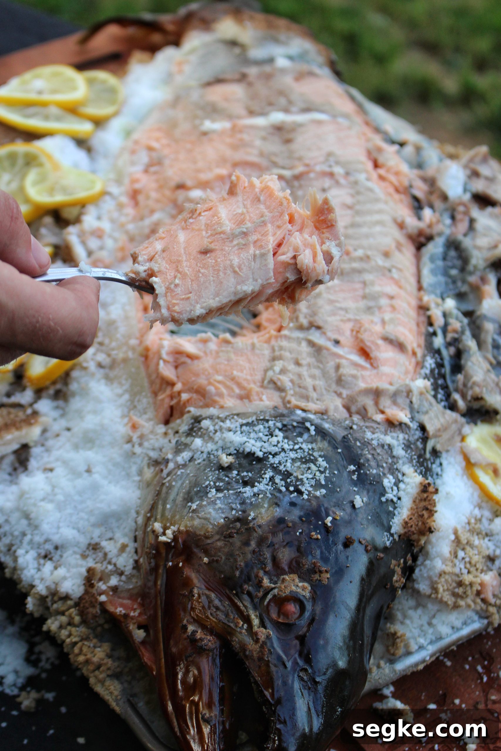 Salt-Crusted Salmon Recipe: Oven-Baked and Tender 4 A forkful of salmon after the meal is cooked.