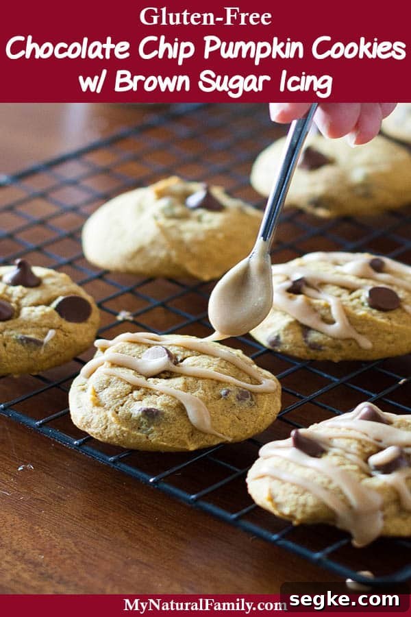 Gluten-Free Pumpkin Cookies