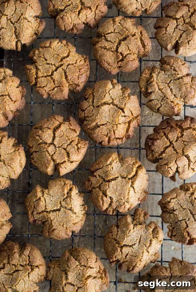 Homemade Gluten-Free Ginger Cookies 5 ginger biscuits on a cooling rack