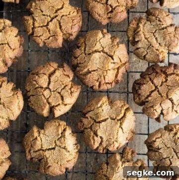 Homemade Gluten-Free Ginger Cookies 6 img 12794 12