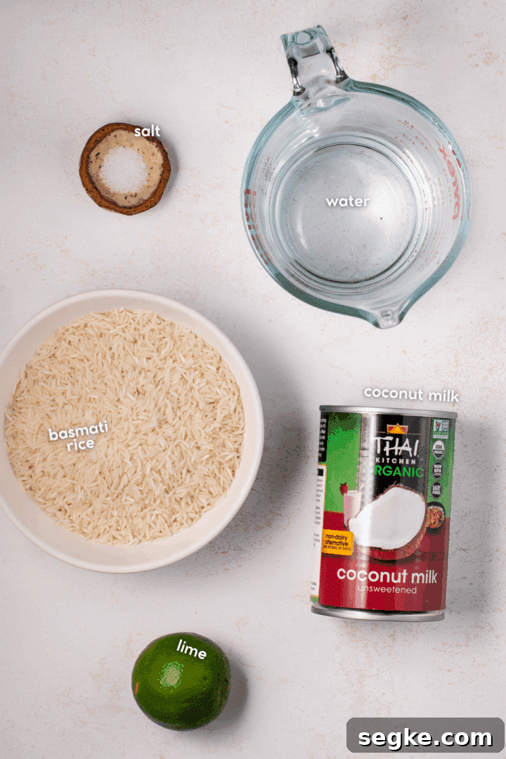 How to Make Fluffy Coconut Basmati Rice 2 picture of the ingredients needed to make coconut basmati rice