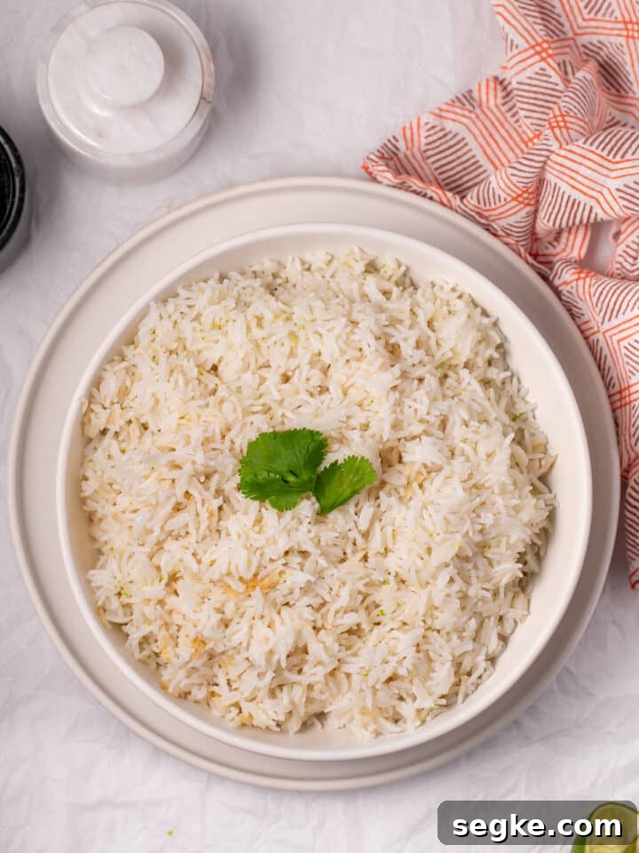 How to Make Fluffy Coconut Basmati Rice 5 overhead view of the featured recipe