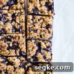 Chocolate oatmeal squares on a piece of parchment paper.