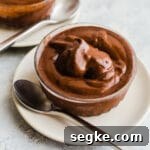 Chocolatey sorbet in a glass cup.