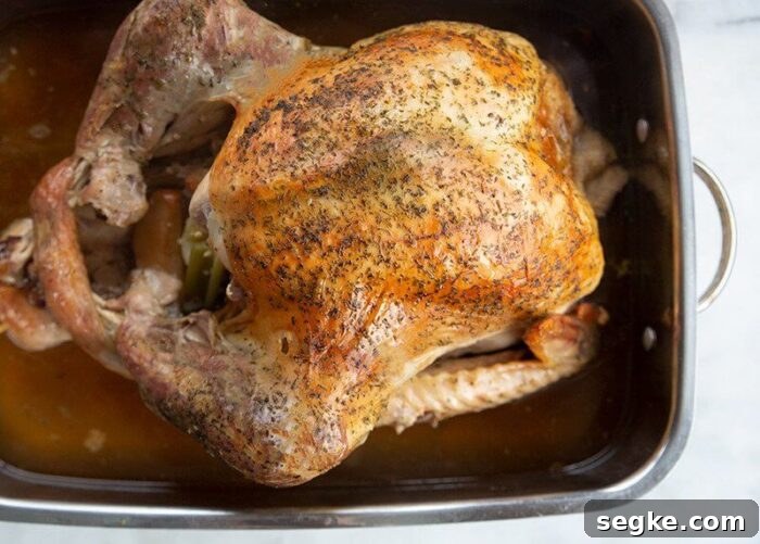 Oven Roasted Turkey