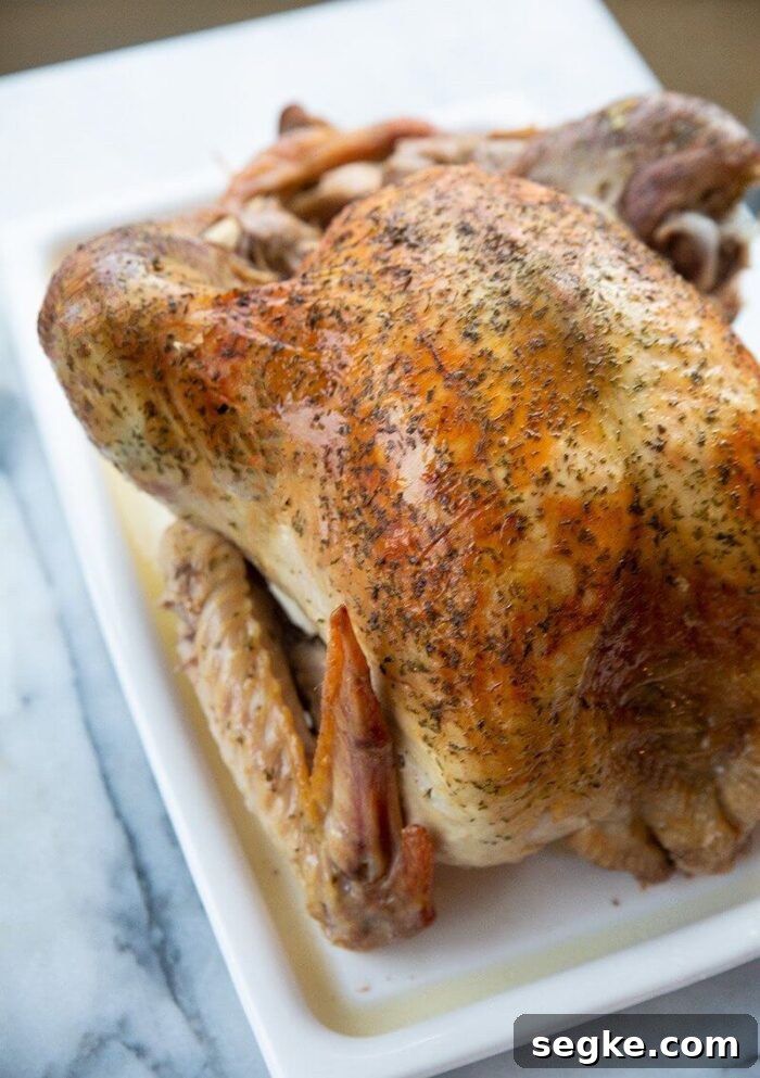 Oven Roasted Turkey