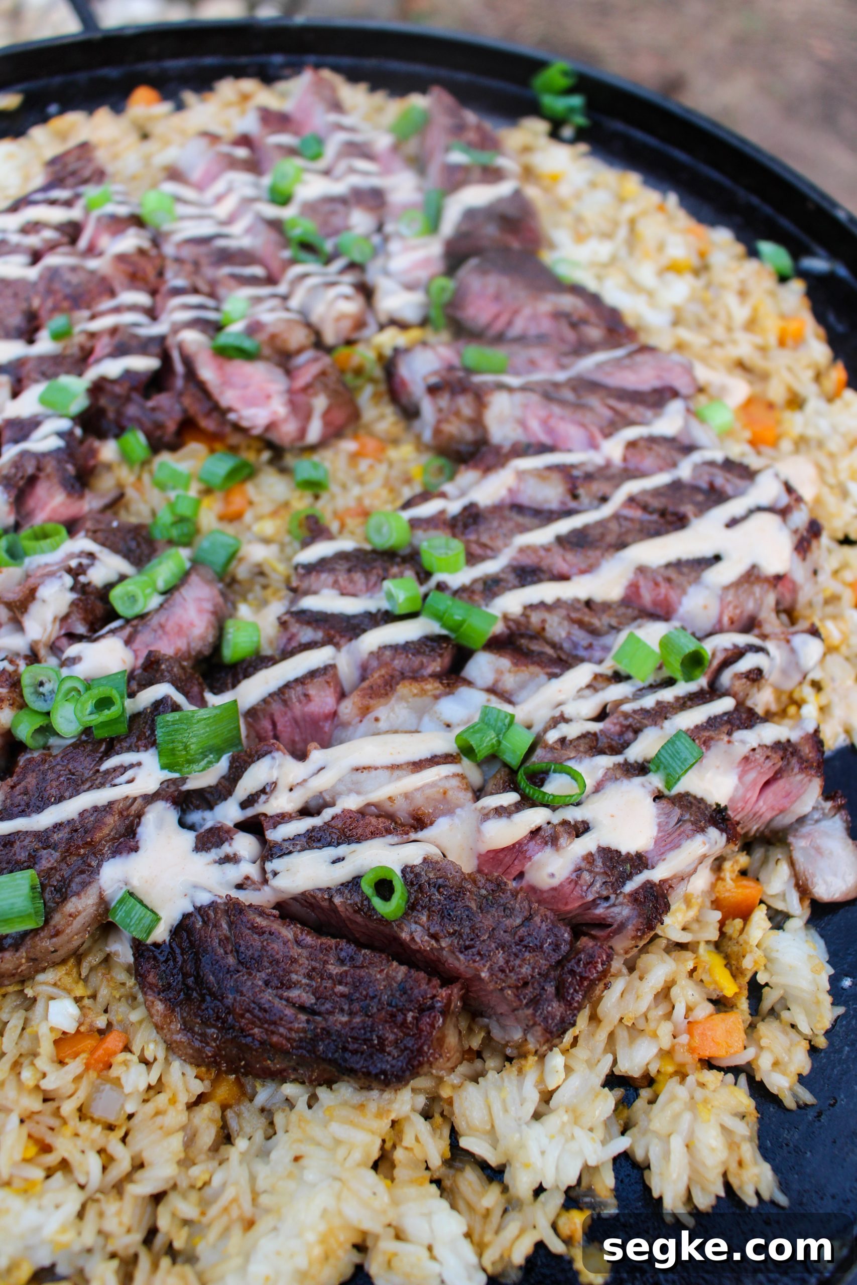 Umami-Rich Ribeye Steaks with Steakhouse-Style Fried Rice 3 Umami Ribeyes with Steakhouse Fried Rice