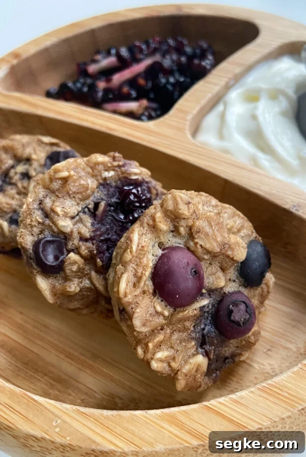 Berry oatmeal bites served with blackberries and yogurt
