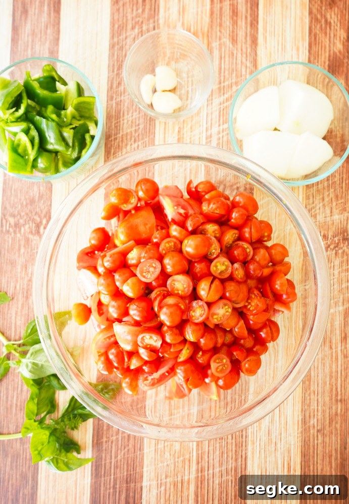 Garden Fresh Tomato Sauce Ingredients 
