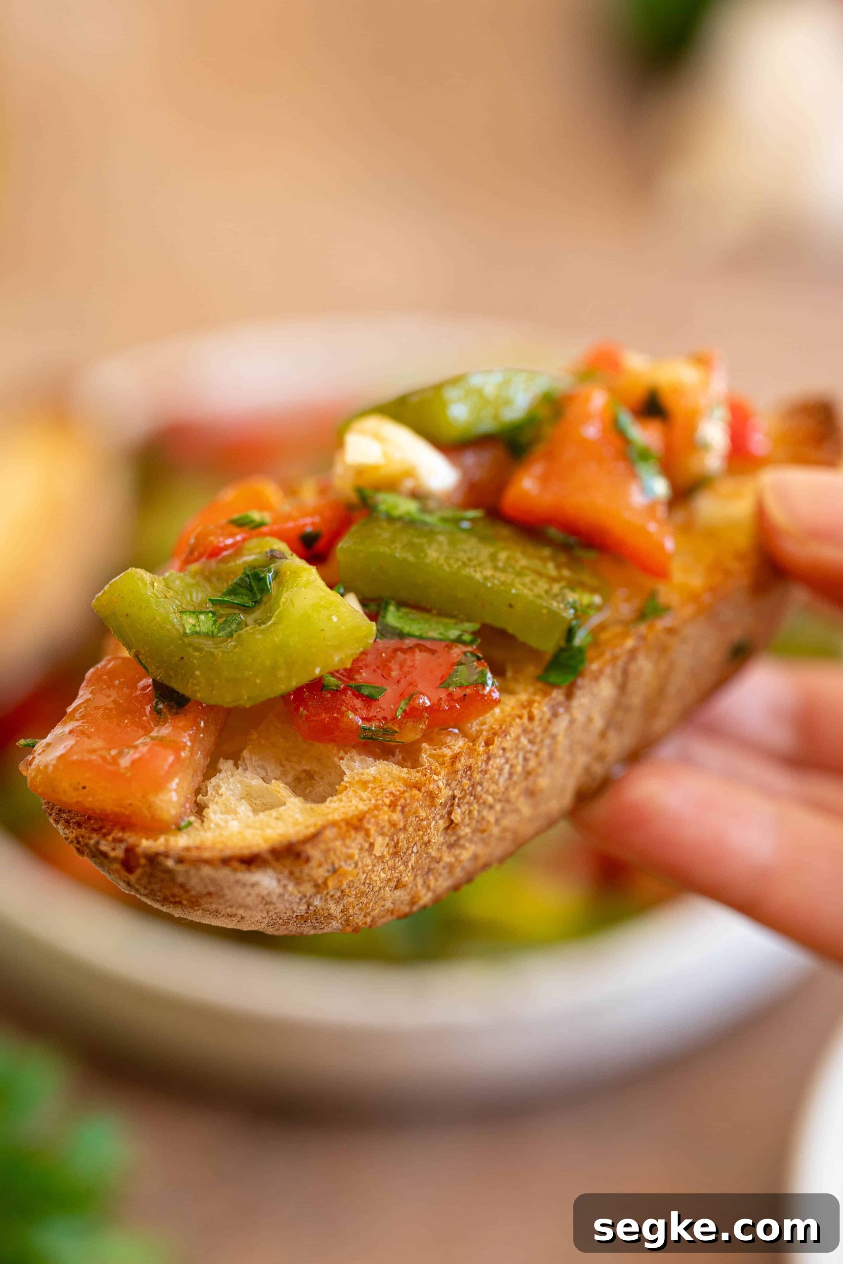 a piece of bread with pepper salad