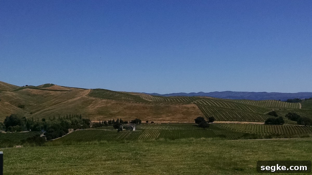 Gluten-Free in San Francisco - a week of food, sights, and stories from our vacation in Northern California! | fedandfulfilled.com