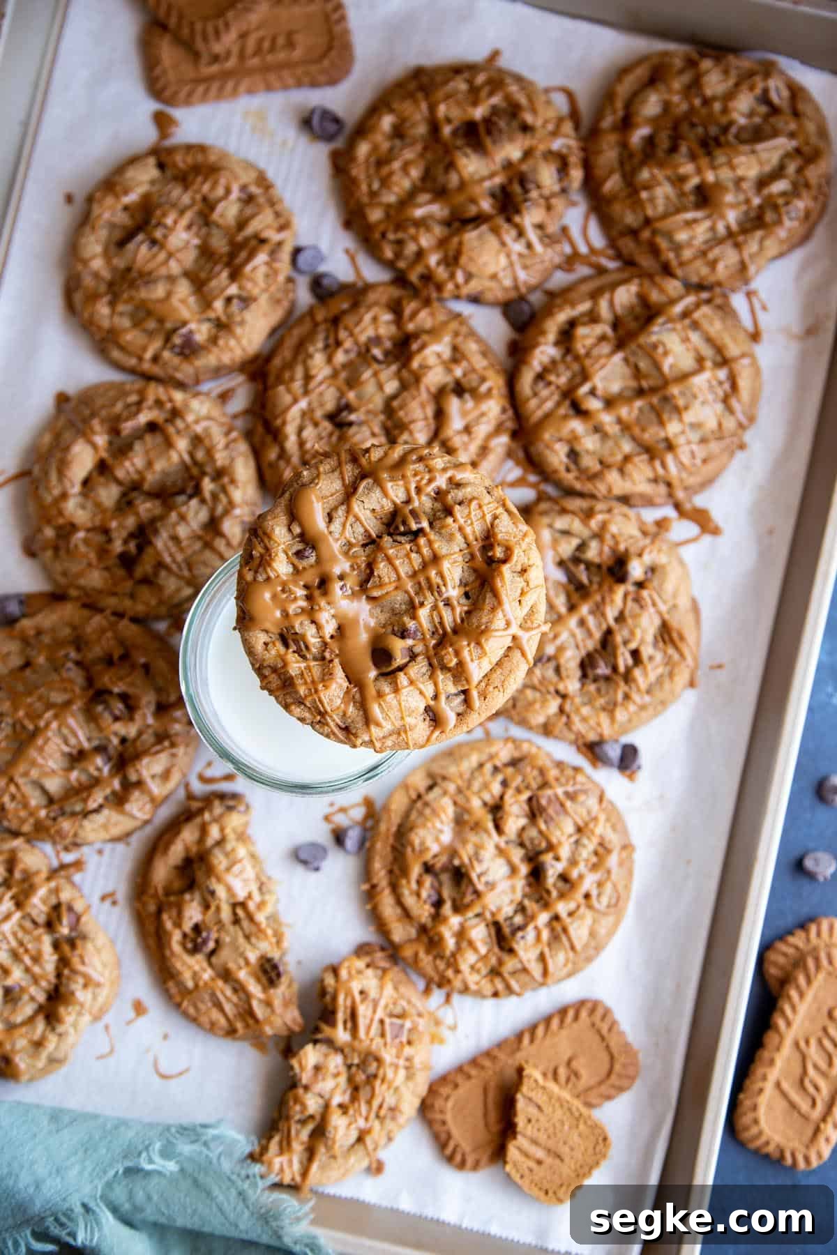 How to Make Chewy Biscoff Chocolate Chip Cookies 2 Biscoff chocolate chip cookies on a lined baking tray, one cookie is resting on top of a glass of milk.