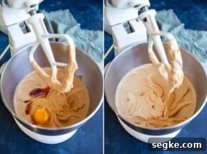 How to Make Chewy Biscoff Chocolate Chip Cookies 6 Add egg and vanilla to creamed butter.