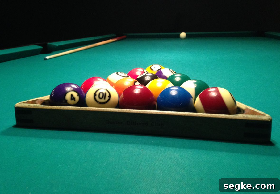 10 Must-Have Pool Accessories to Improve Your Game 2 img 146654 1