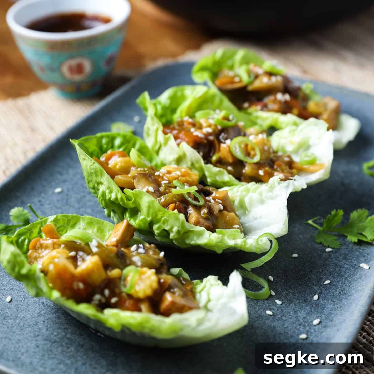 Easy Vegan San Choy Bau