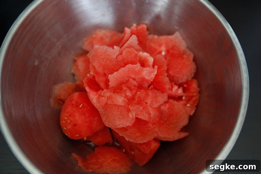 Paleo Watermelon Sorbet