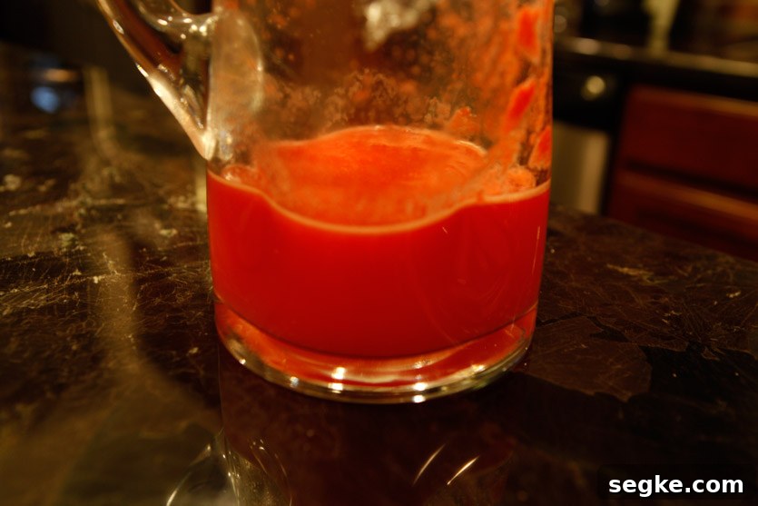 Paleo Watermelon Sorbet