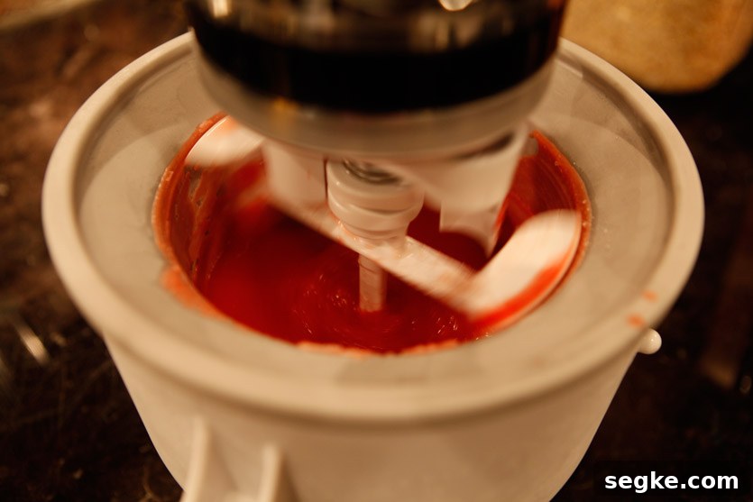 Paleo Watermelon Sorbet