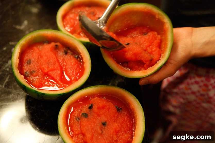 Paleo Watermelon Sorbet