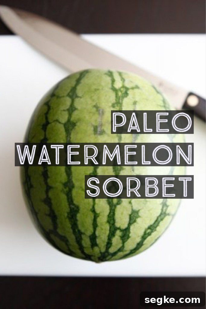 Paleo Watermelon Sorbet