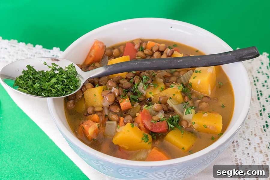 vegan, lentil, butternut, squash, soup