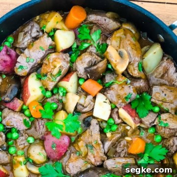 beef tenderloin stew
