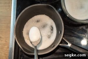 Vegan Miso Caramel Sauce Recipe: Dairy-Free Dessert Topping 8 Adding sugar to the saucepan