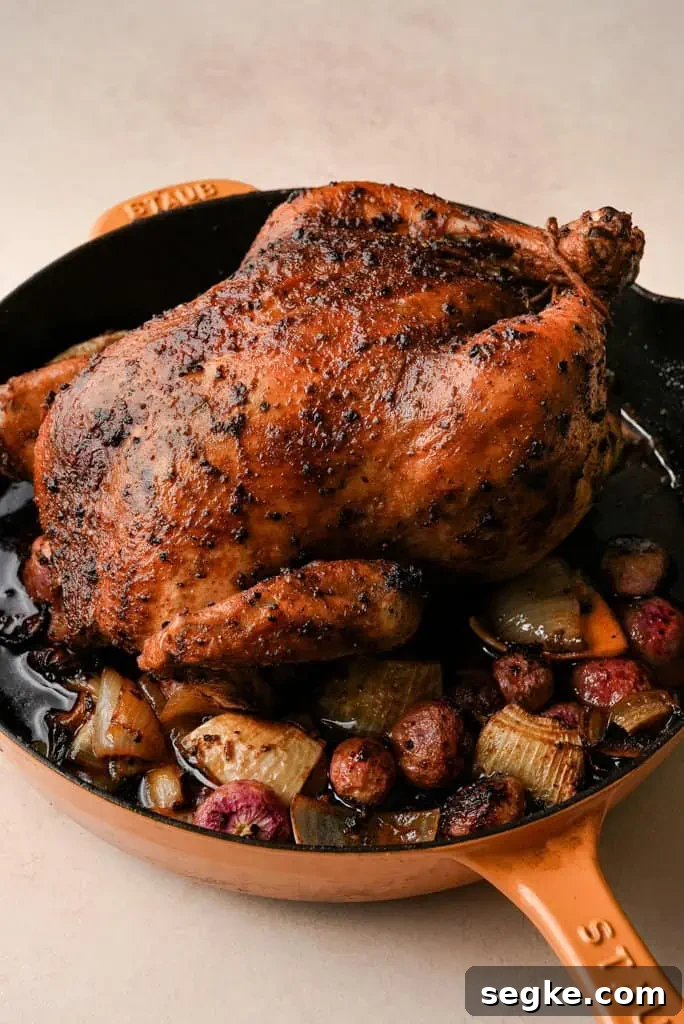 a skillet containing a whole roasted chicken surrounded by veggies