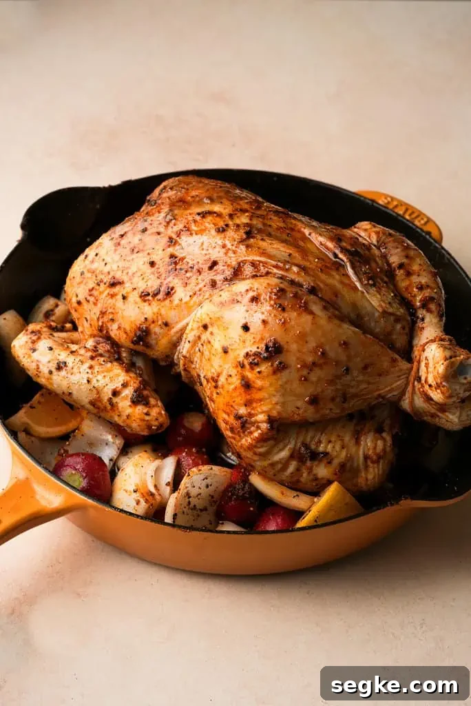 a seasoned whole chicken in pan with veggies, prior to going in the oven